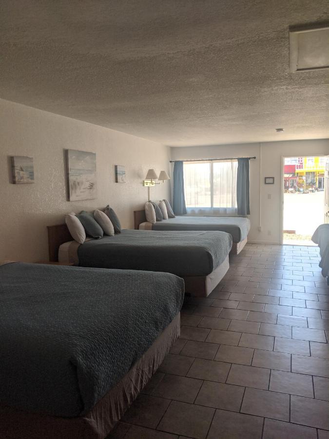 קוטונווד Little Daisy Motel מראה חיצוני תמונה